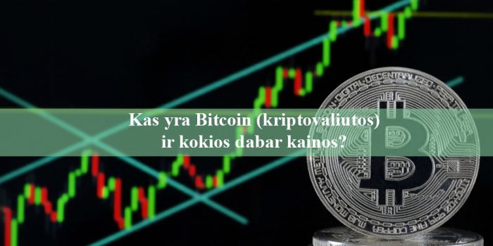 Kas yra Bitcoin kriptovaliutos ir kokios dabar kainos