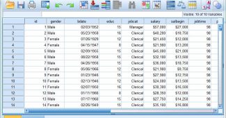 spss programa